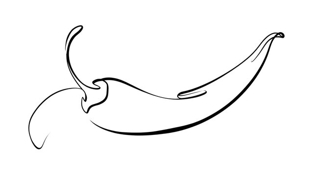 Elegant black line art chili pepper white background.