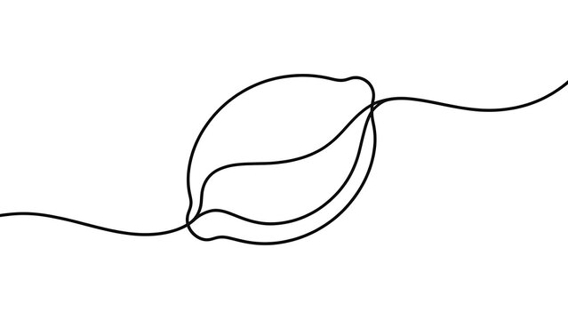 Minimalist leaf drawing on white background.