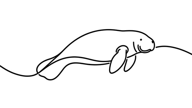 Minimalist manatee line drawing white background.
