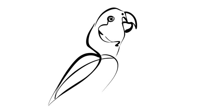 Minimalist parrot line art illustration white background.