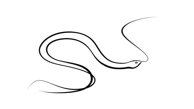 Minimalist snake line art drawing white background.