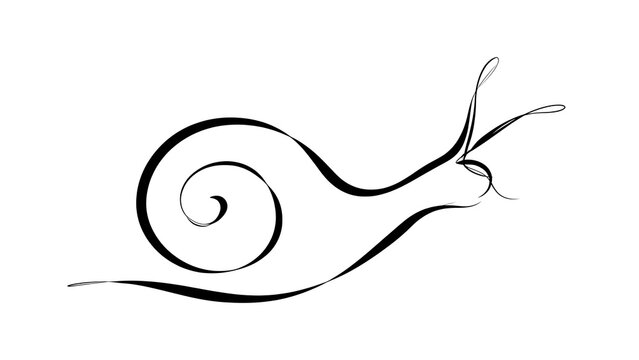 Minimalist snail line art illustration white background.