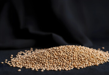 Obraz premium Pile of sesame seeds on a dark background, healthy food and cooking ingredients, natural organic product