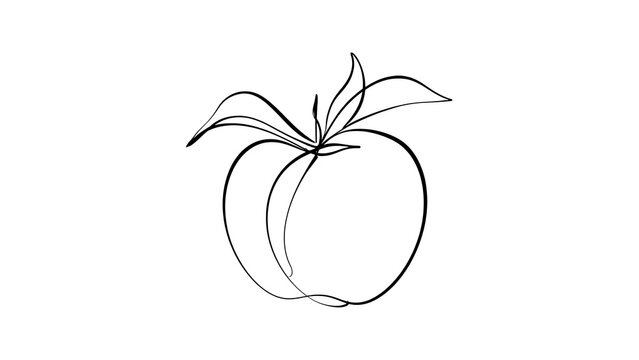 Minimalist peach line art drawing white background.