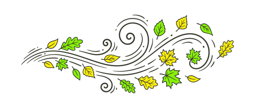Autumn Leaves Blowing in the Wind