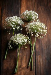Obraz premium Four delicate white babys breath flower stems arranged on a rustic dark wooden background, natural beauty and floral decor