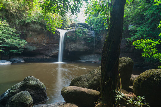 Serene Waterfall Surrounded by Lush Greenery in Nature