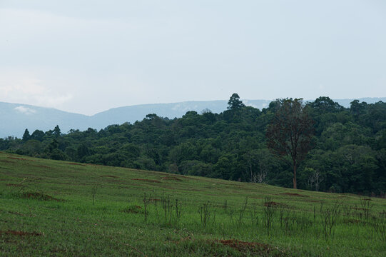 Scenic Landscape of Yai Tourist Attractions Surrounded by Nature