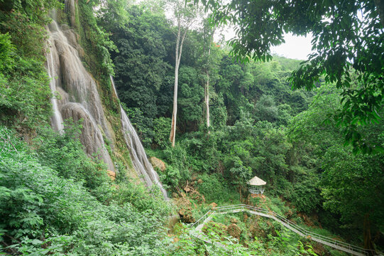 Serene Waterfall in Lush Green Forest Behind the Gorge