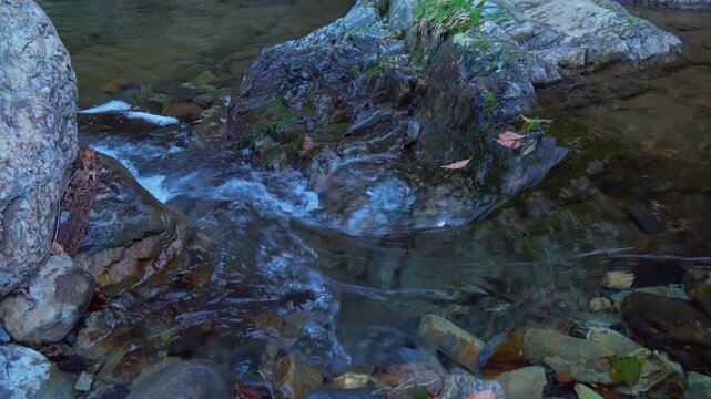 Clear mountain brook water flowing gently over mossy rocks in a peaceful forest