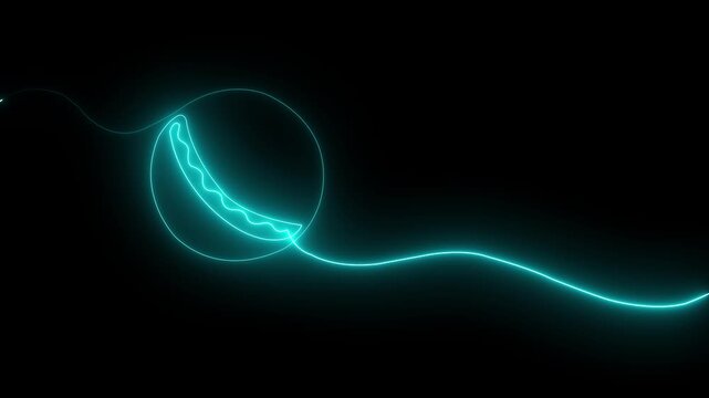 Glowing neon Cricket ball Game icon isolated on black background. HD Video motion graphic animation