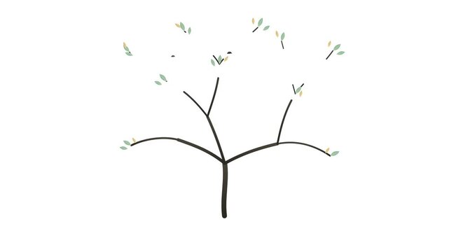 Minimalist Tree Growth Animation Hand Drawn Style