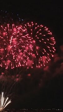 Bright colorful fireworks exploding in the dark night sky