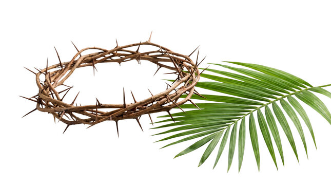 Crown of Thorns and Palm Frond Symbolizing Sacrifice and Resurrection.