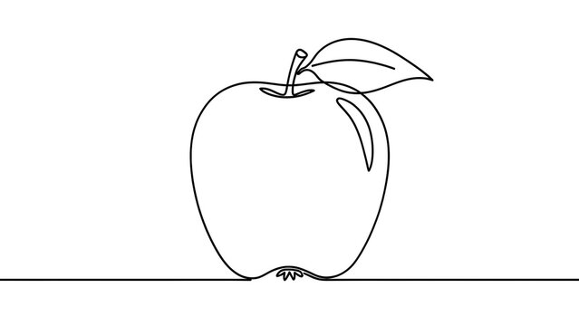 Minimalist line art apple illustration white background.