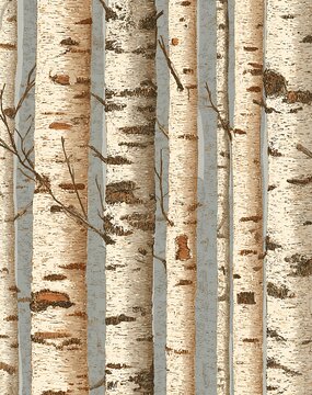 White birch tree trunk bark pattern texture background