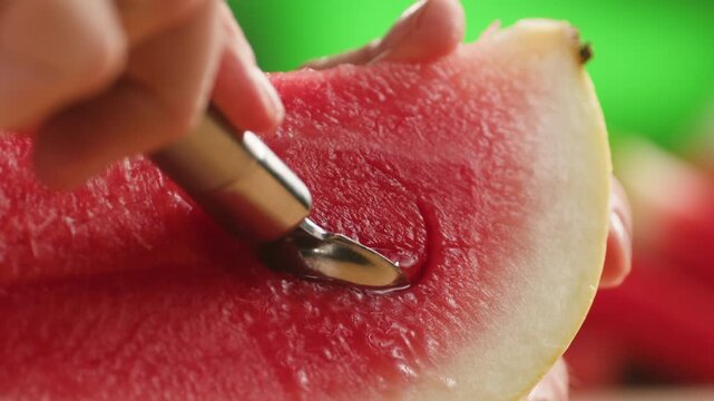 Man cutting watermelon - cut piece with knife. Young watermelons Citrullus lanatus. Topic - melons and gourds, farmer cultivation of watermelons