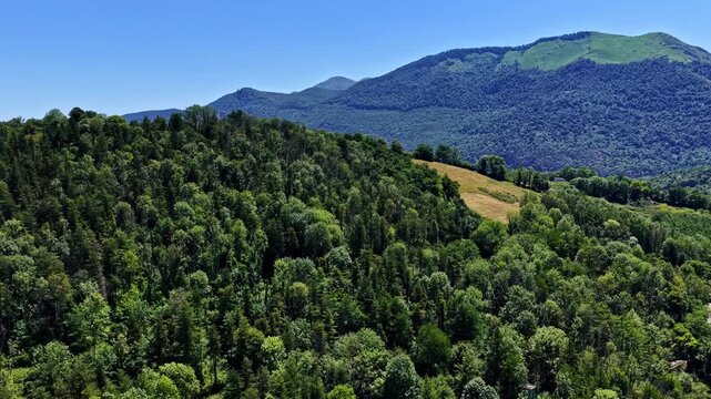 Aerial view reveals dense green forested ridge and golden clearing with layered blue mountain peaks at Col d'Aubisque