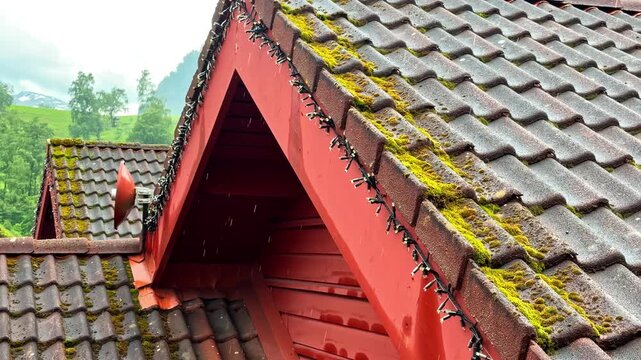Mossy red tiled roof of a norwegian house during a light rain in Flam, Norway