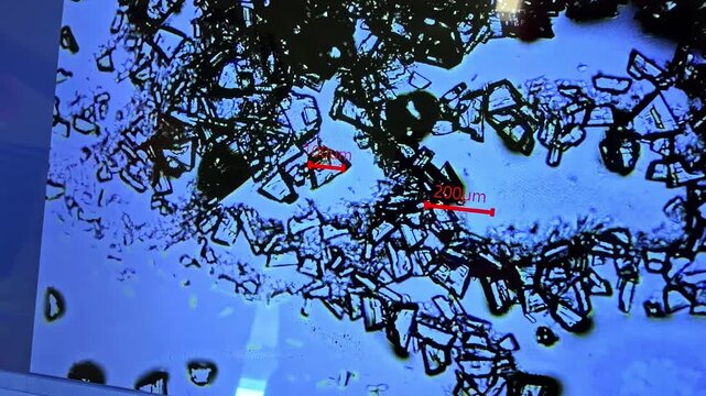 Microscope image showing crystalline particles with measurement scale in laboratory