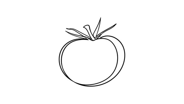 Simple tomato line drawing on white background.