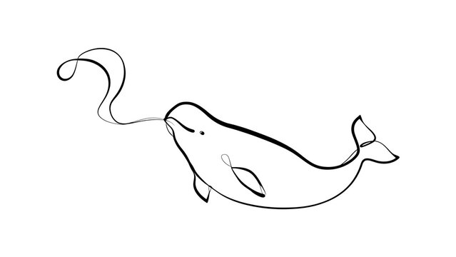 Whale blowing water white background.