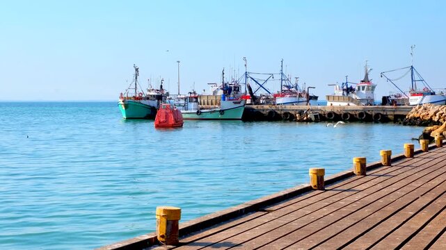 Seagulls fly around at Sandy Point harbour in Saint Helena Bay, Cape West Coast