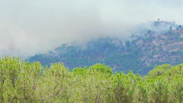 Flames devastating a mount in Avila, Spain. Zoom