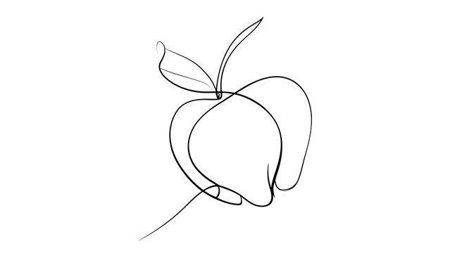 Minimalist line art apple drawing white background.