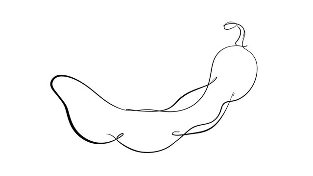 Minimalist line art squid drawing white background.