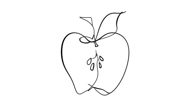 Minimalist line art apple drawing white background.