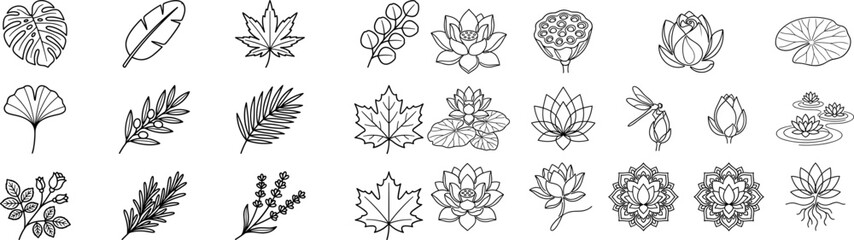 Obraz premium Botanical Line Art Icons: Leaves, Flowers, and Dragonflies Set