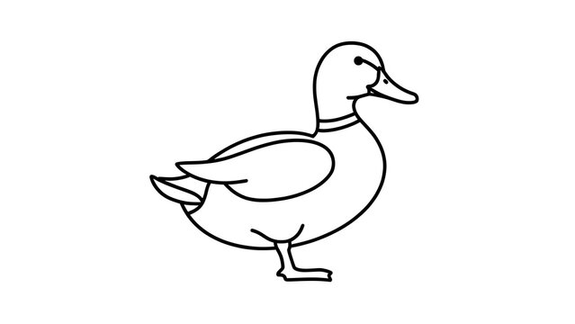 Simple duck illustration on white background.