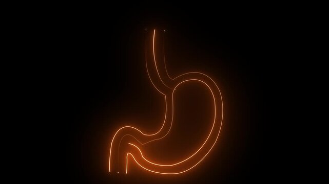 Glowing Neon Stomach Icon &ndash; Digestive System and Gastro Health acid reflux concept ulcer problem digestion process human anatomy icon 4k motion video,,,