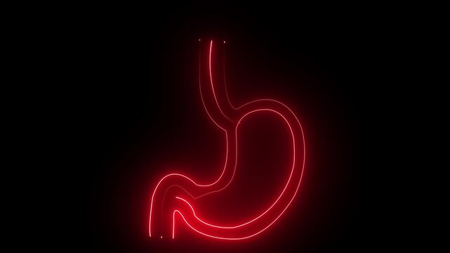Glowing Neon Stomach Icon &ndash; Digestive System and Gastro Health acid reflux concept ulcer problem digestion process human anatomy icon 4k animation video,,,