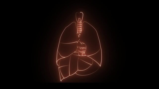 Glowing  neon human lung icon 4k video on black background. Human respiratory system, lungs, anatomy, and animation. 