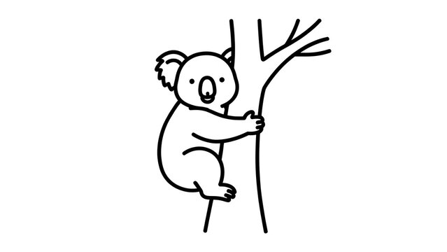 Cute koala illustration on tree white background.