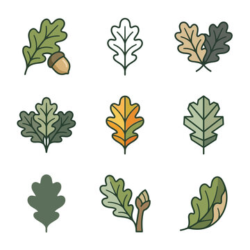Set of decorative flat design oak leaves and acorn icons for autumn season nature themes and forest environment projects