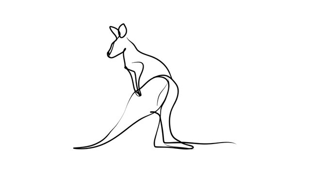 Minimalist kangaroo line art illustration white background.