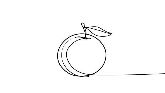 Minimalist line art orange with leaf white background.