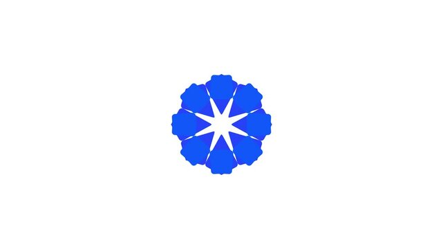 Abstract Blue Floral Geometric Pattern with Eight Point Star on White Background