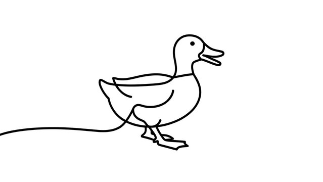 Simple line art duck illustration white background.
