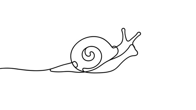Minimalist snail illustration on white background.