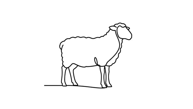 Simple line drawing of a sheep on white background.