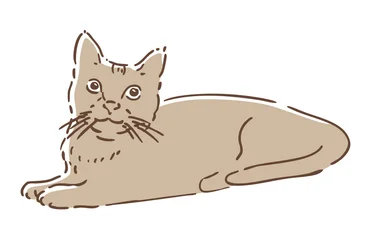 猫のイラスト © YY apartment
