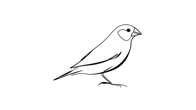 Minimalist bird illustration on white background.