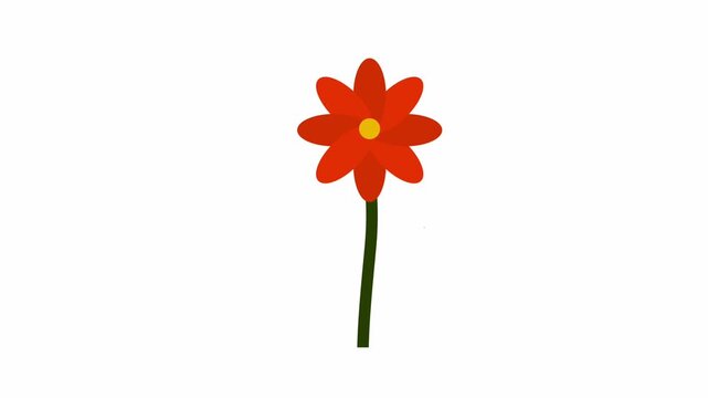 Animation of an orange flower growing, in a simple, flat style.