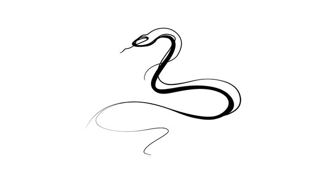 Elegant snake line art illustration white background.