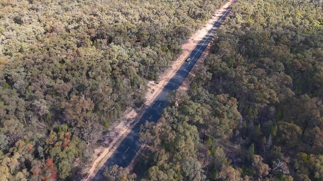 Aerial View of a Remote Road Through Eucalyptus Forest in Coonabarabran