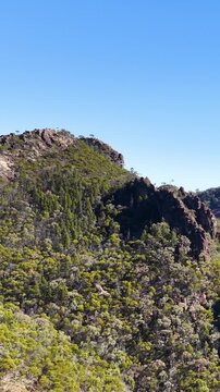 Wedge-Tailed Eagle Soaring Over Warrumbungle National Park Mountain Range